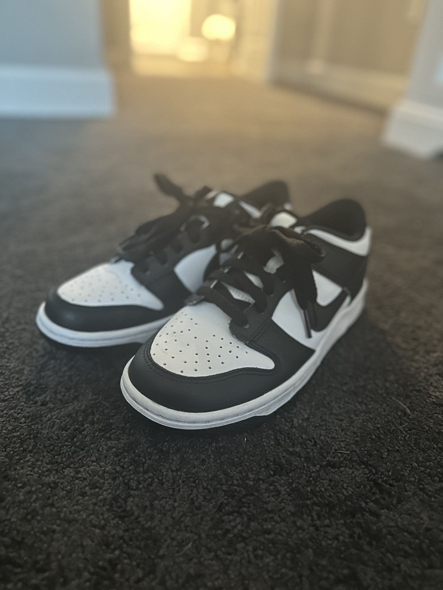 Panda Nike Dunks