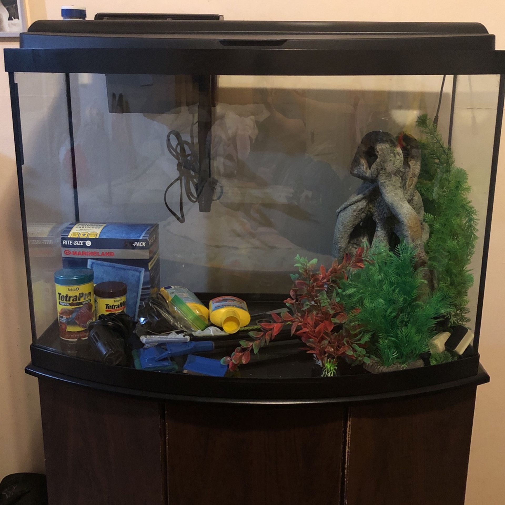 Fish Tank With Lots Of Stuff