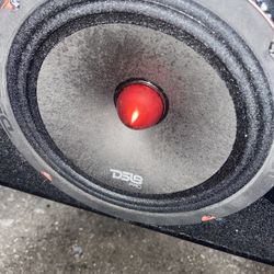 Two Ds18 8 Inch Loudspeakers 