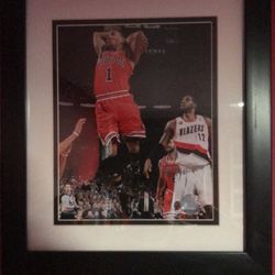 Framed Derrick Rose Slam Dunk 15”x13”
