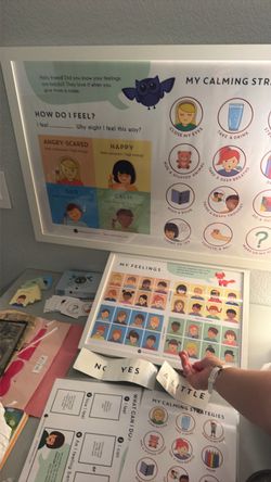 Mindful Generation Emotion Charts/Bundle