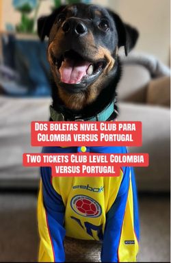 Portugal vs Colombia - Category 1