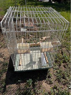 Small bird cage