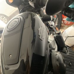 Brand New Harley 975 Nightster 