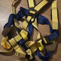 3M Sala Fall Protection