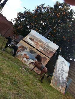 Wild Western Stallion's Oil on Wood
