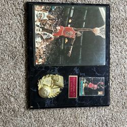 Michael Jordan Chicago Bulls Plaque 