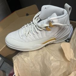 Jordan 12’s 