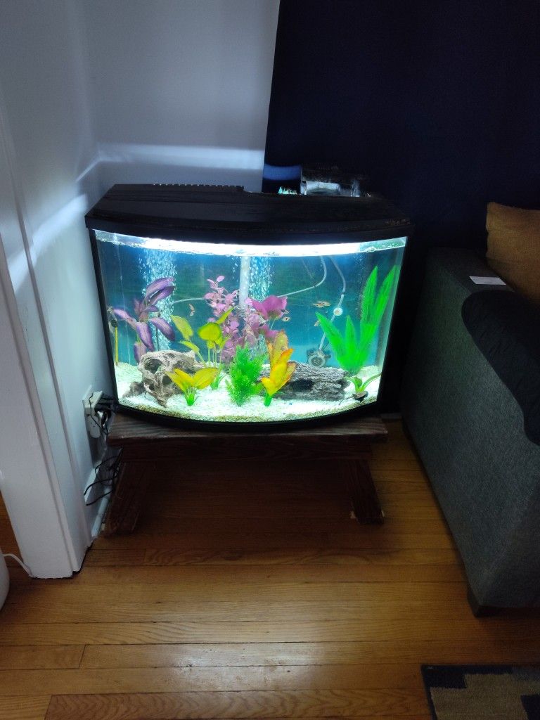 2 Large Aquariums CASH ONLY