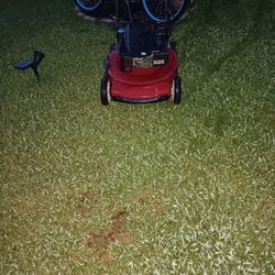 Toro Recycler 