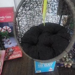 Cat Swing