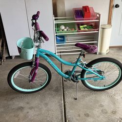Schwinn Girls Bike
