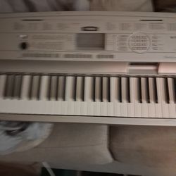 Used Yamaha Portable Grand Dgx-500