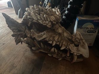 Dragon Skull Halloween 🎃