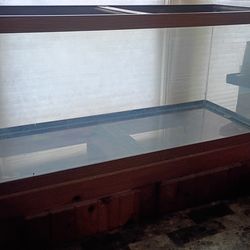 75 gallon aquarium