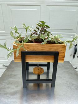 little cedar planter ( New )