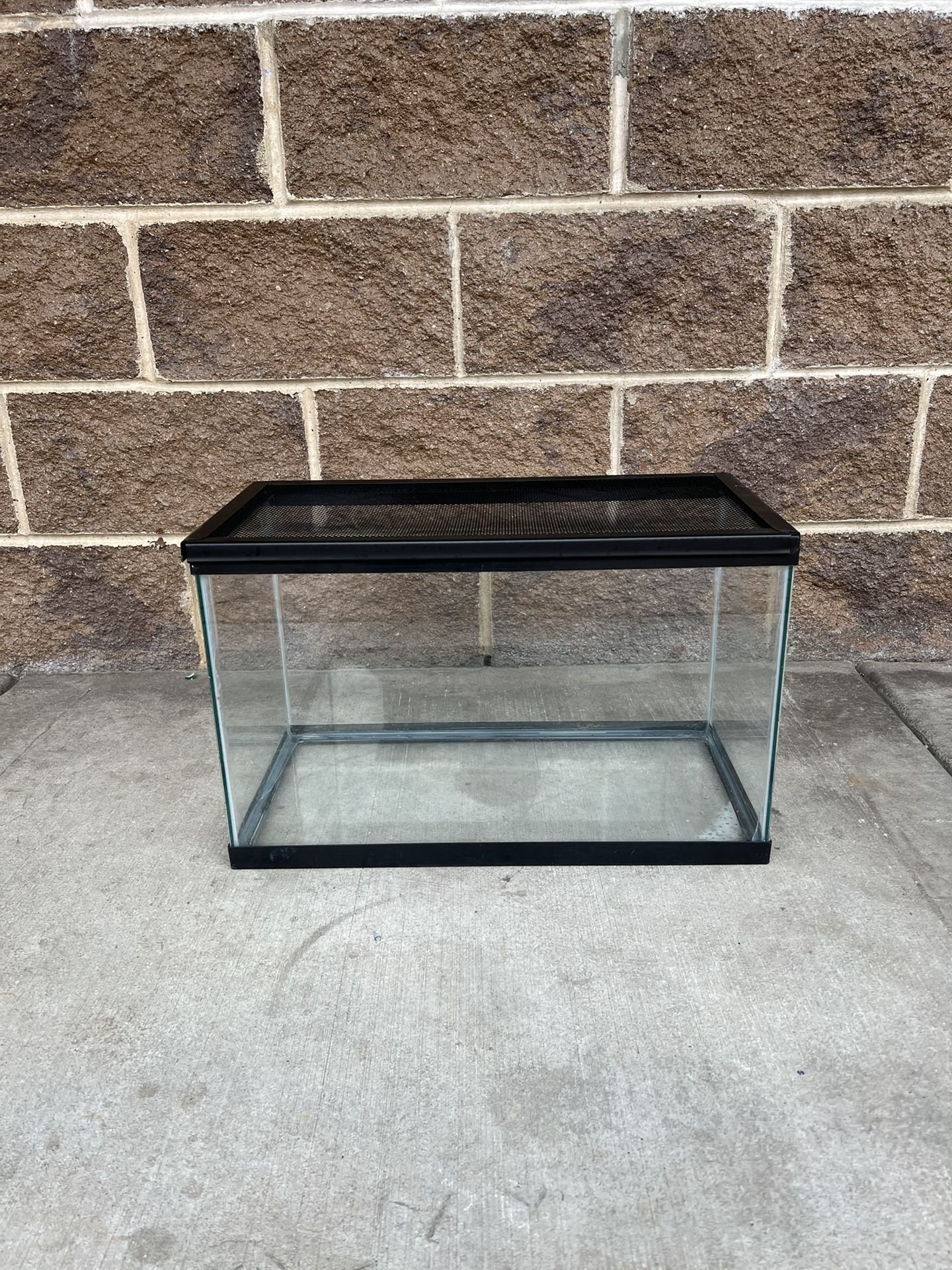 20g Tank Reptile 