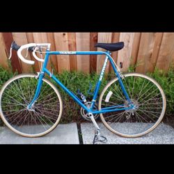 Race Bicycle (SCHWINN)