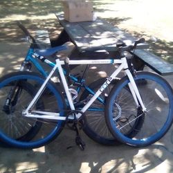 Pure Fixie 