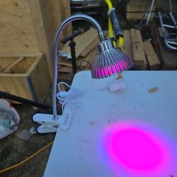 LED Grow Light