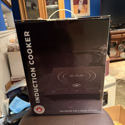 Induction Cooker