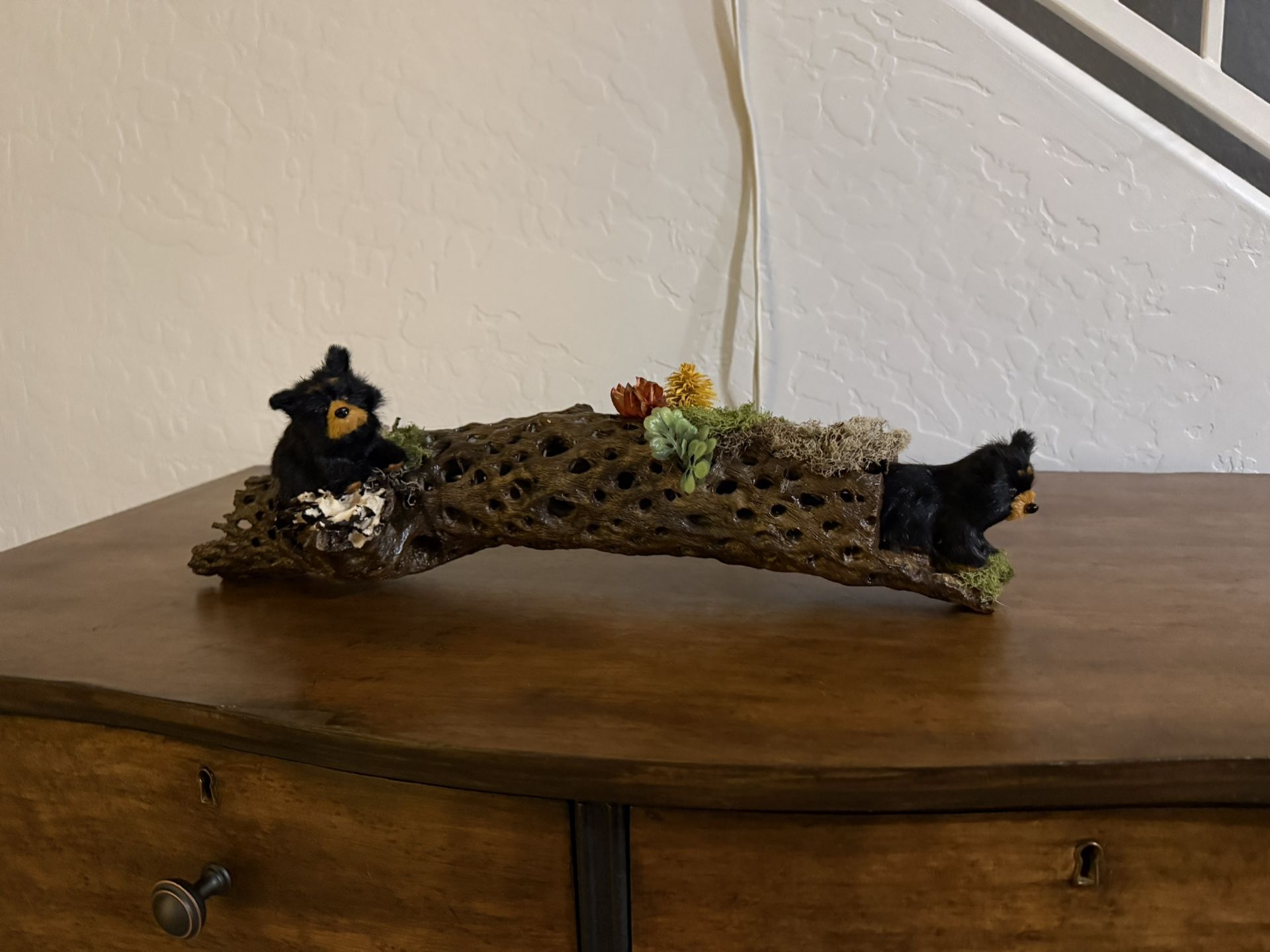 Decorative, Custom Handmade Cholla Cactus Skeleton Home Decor and Collectable or a Great Christmas Gift