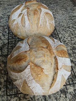 Sourdough Loaf