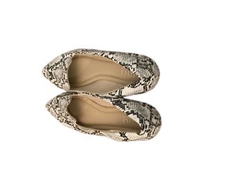 Zebra Flats Size 10