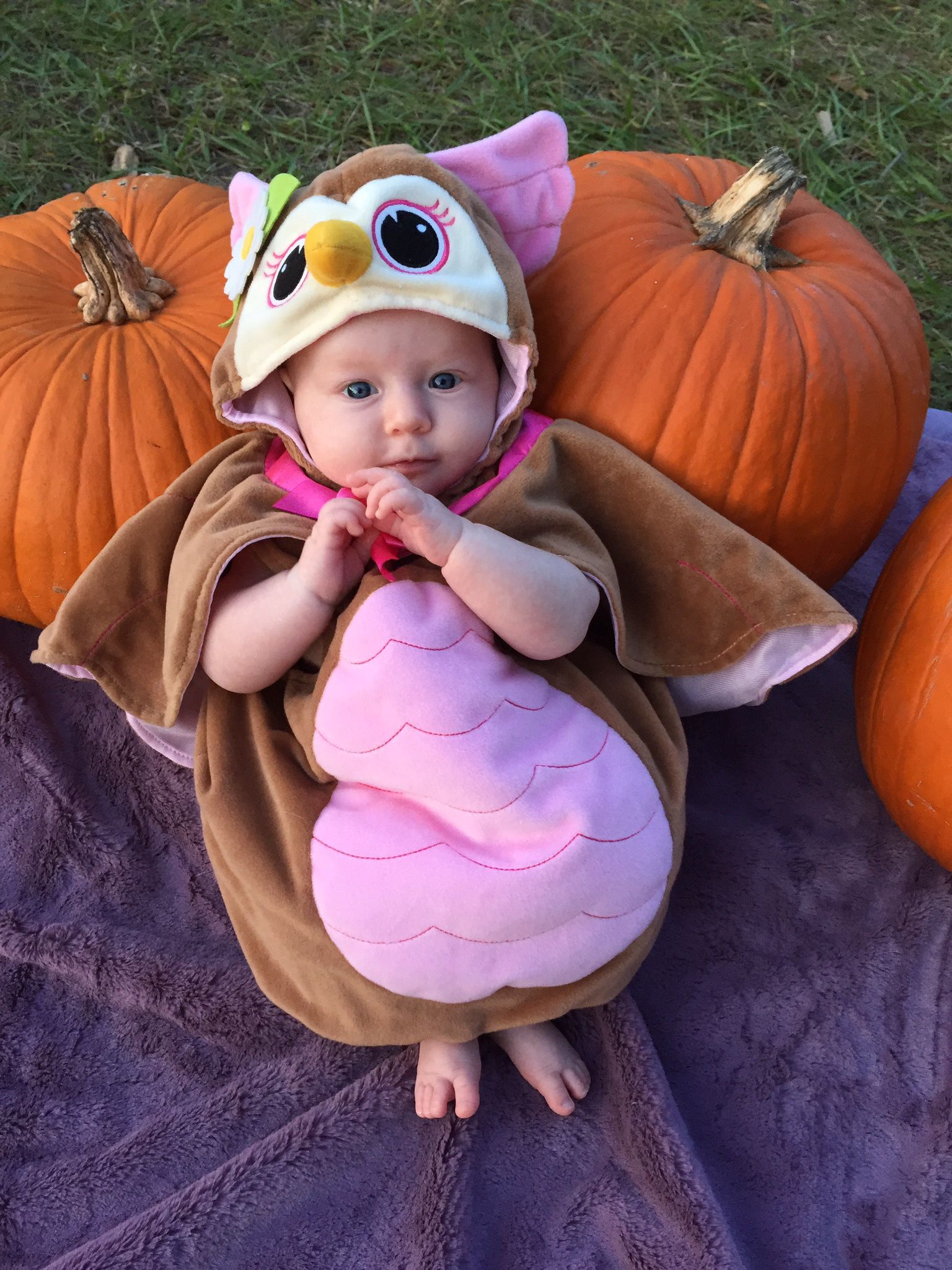 3-6 Month Baby Owl Halloween Costume