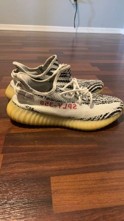 Yeezy Zeebra Size 11