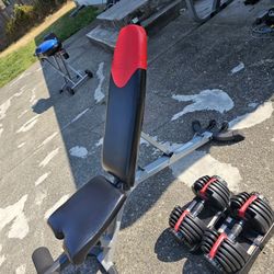 Bowflex Dumbells And Bench 