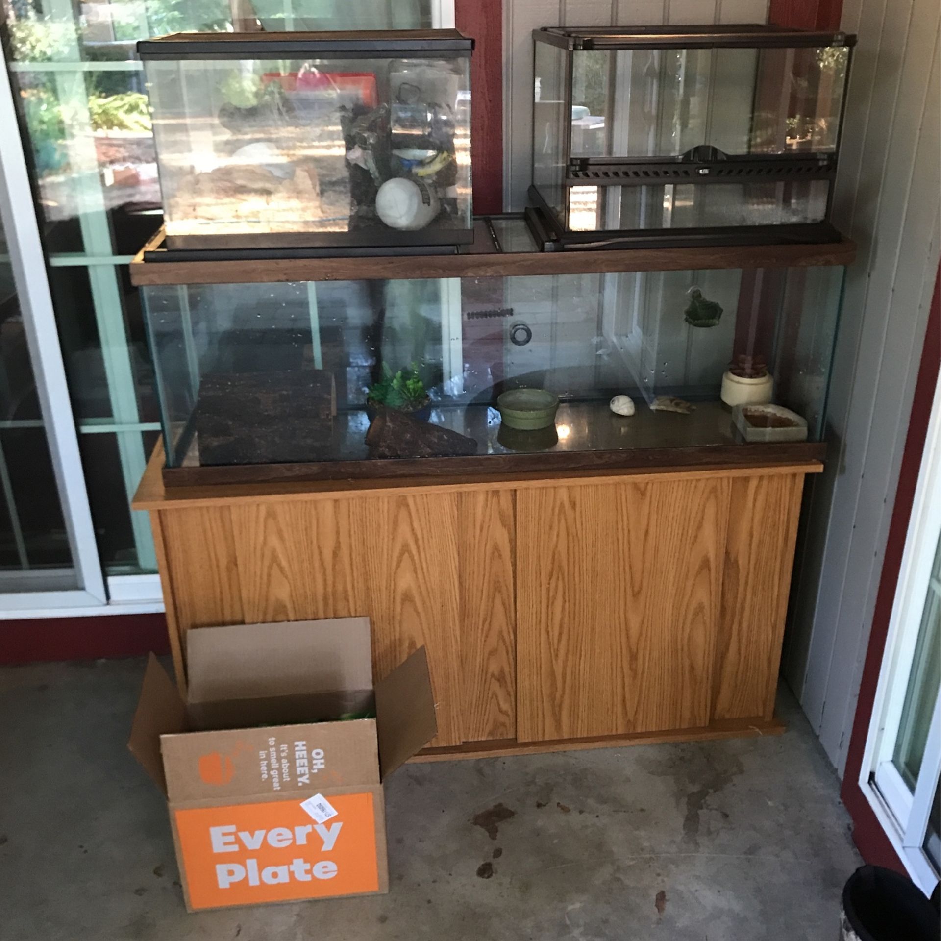 Reptile Reptiles Fish Pets Lizards Fish Tank Tank Aquarium for Sale in Lacey, WA OfferUp
