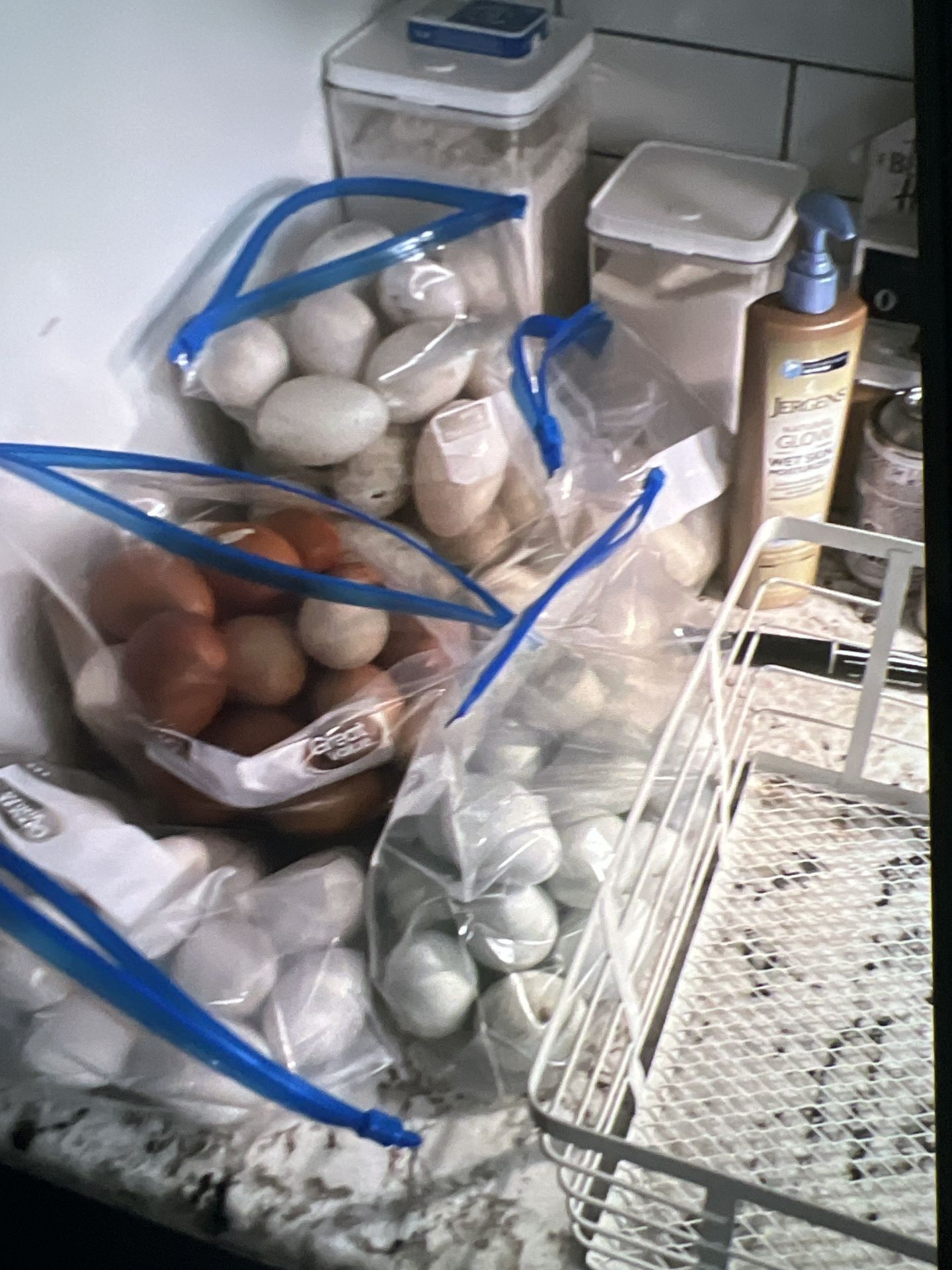 Eggs