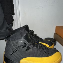 Jordan 12 University Gold