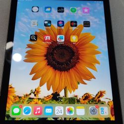 Ipad 5th Generation : Wifi And Cellular 