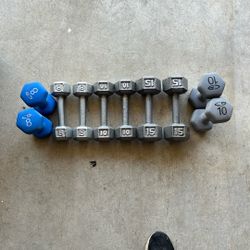 Exercise Weights / Dumbbells