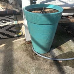 2 Large Plastic Planters 