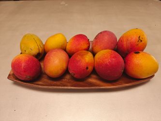 🎆 4th of July Mangos 🥭