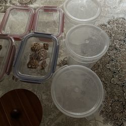 Glass Storage And Plastic Storage Containers With Lid 