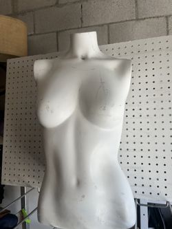 Female Mannequin Torso 