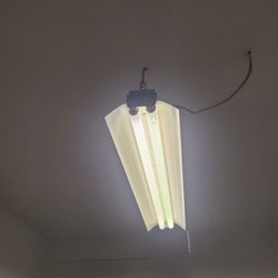 Ceiling Light
