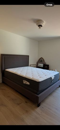 Queen Guest Bed Set - Like New