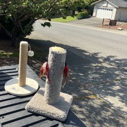 Cat Kitty Scratching Scratch Post Cat Kitty Tree Like New  $20 Each 