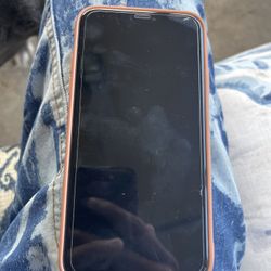 iPhone 11 [64GB