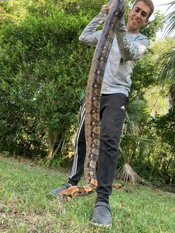 Reptile Removal/sanctuary