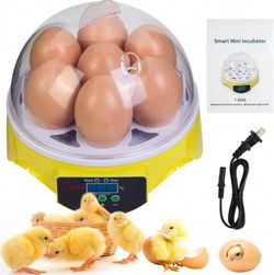 7-Egg Incubator 360° View Poultry Incubator With Manual Temperature Control For Hatching Chicken, Duck, Goose, Parrot, And Quail Eggs, Easy To Use