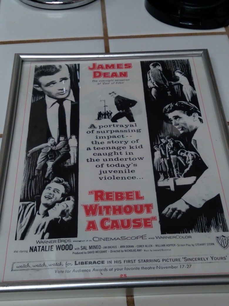 JAMES DEAN REBEL WITHOUT A BROTHER