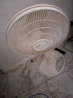 Fan