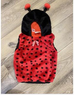 Ladybug baby costume