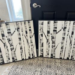 27” black and white canvas pictures